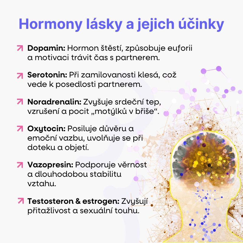 Hormony lásky